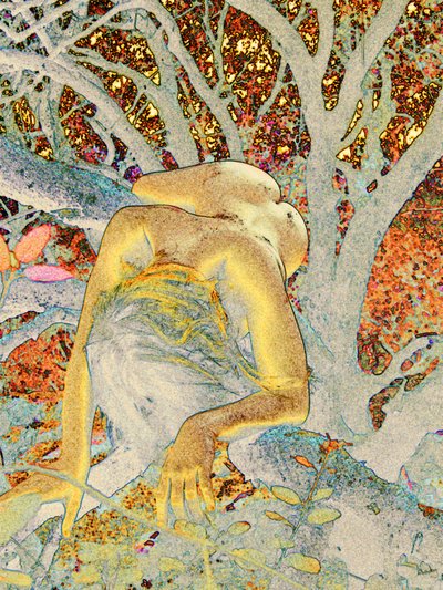 Strom od Joseph Angilella Auquier