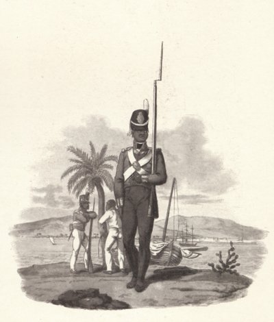 Vojín 5. západoindického pluku, c1812 1909 od Joseph Constantine Stadler