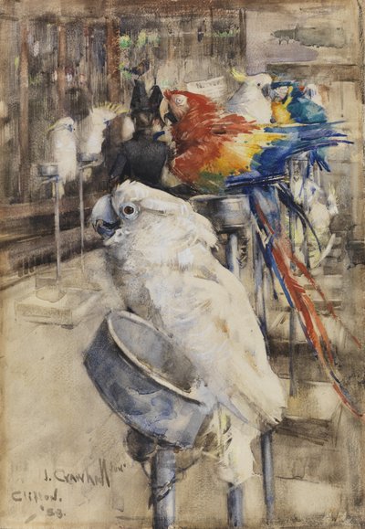 Voliéra, Cliftone od Joseph Crawhall
