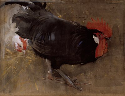 Černý kohout (kvaš na plátně) od Joseph Crawhall