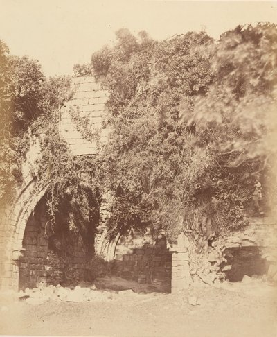 Kirkstall Abbey. Ruiny na jižní straně, 1850. od Joseph Cundall