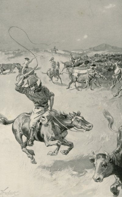 Chov dobytka v Queenslandu od Joseph Finnemore