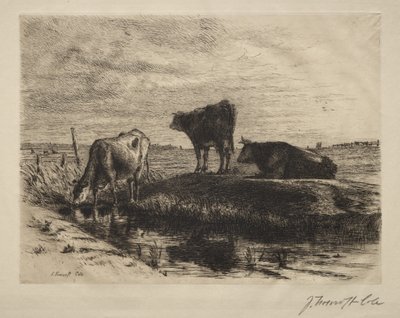 Tři krávy od Joseph Foxcroft Cole