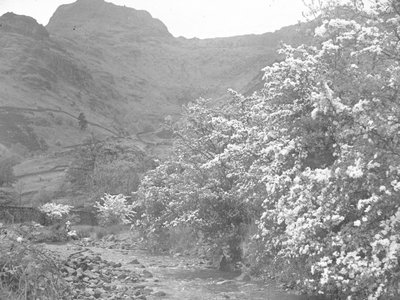 Řeka s kvetoucími stromy lemujícími břeh a Langdale Pike v pozadí od Joseph Hardman