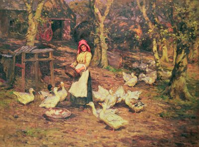 Krmení kachen od Joseph Harold Swanwick