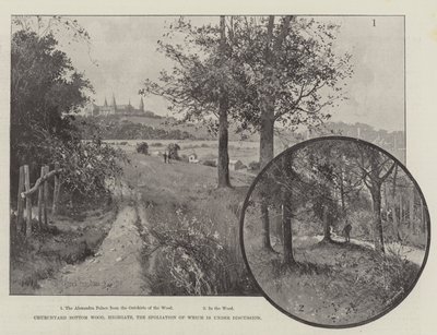 Churchyard Bottom Wood, Highgate, o jehož rabování se diskutuje od Joseph Holland Tringham