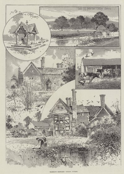 Rambling Sketches, Ockley, Surrey od Joseph Holland Tringham