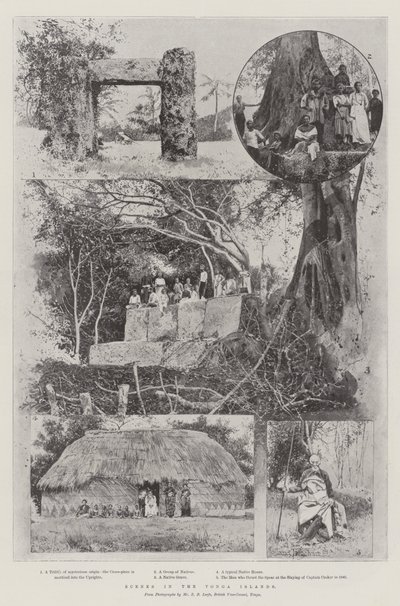 Scény na ostrovech Tonga od Joseph Holland Tringham