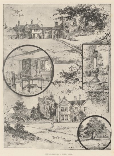 Selborne, domov Gilberta Whitea od Joseph Holland Tringham