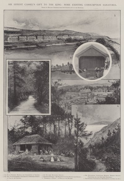 Dar sira Ernesta Cassela pro krále, některá existující konzumní sanatoria od Joseph Holland Tringham