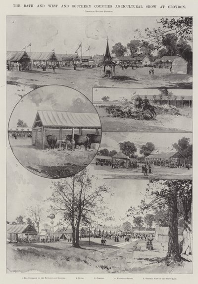 The Bath and the West and Southern Countries Agricultural Show v Croydonu od Joseph Holland Tringham