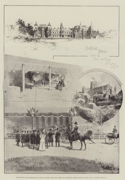 Princ a princezna z Walesu na Bath a západoanglické zemědělské výstavě v St Albans, 29. května od Joseph Holland Tringham
