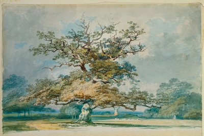 Krajina se starým dubem od Joseph Mallord William Turner