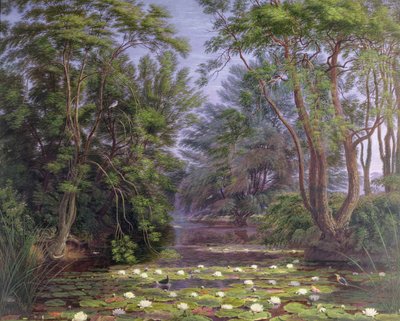 River Cherwell Waterlilies, 1851 od Joseph Mallord William Turner