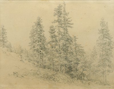 Drahý zub od Joseph Martin Höger