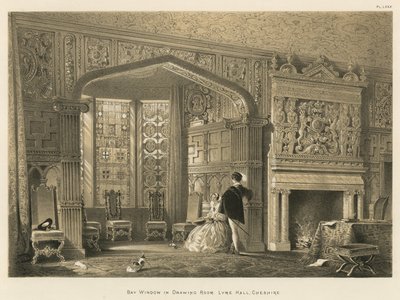Bay okno v přijímacím pokoji, Lyme Hall, Cheshire od Joseph Nash