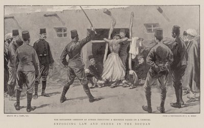 Prosazování práva a pořádku v Soudanu od Joseph Nash