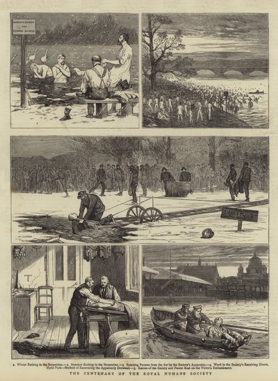 Stoleté výročí Royal Humane Society od Joseph Nash
