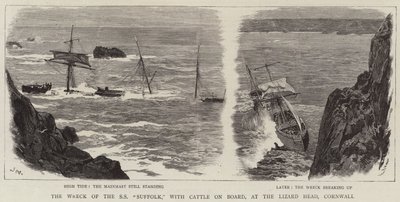 Vrak lodi SS Suffolk s dobytkem na palubě, v Lizard Head, Cornwall od Joseph Nash