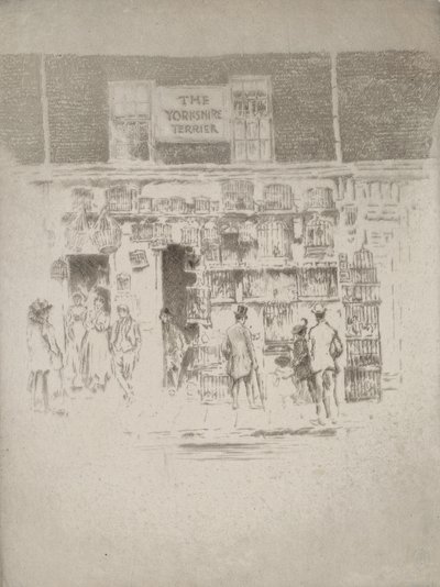 Jorkšírský teriér, 1903. od Joseph Pennell