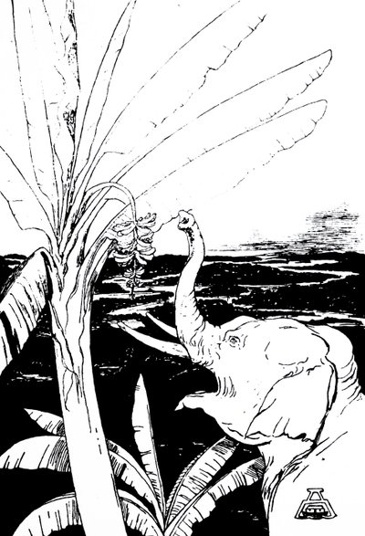 ilustrace slona od Kiplinga (rytina) od Joseph Rudyard Kipling