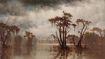 Bayouova scéna od Joseph Rusling Meeker