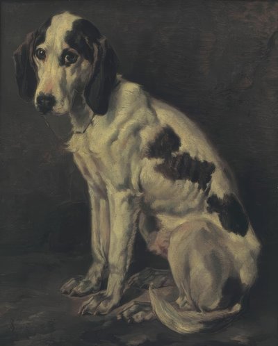Starý uchazeč od Joseph Stevens