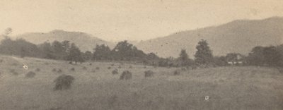 Krajina se stromy a horami,c. 1900 (foto) od Joseph T. Keiley