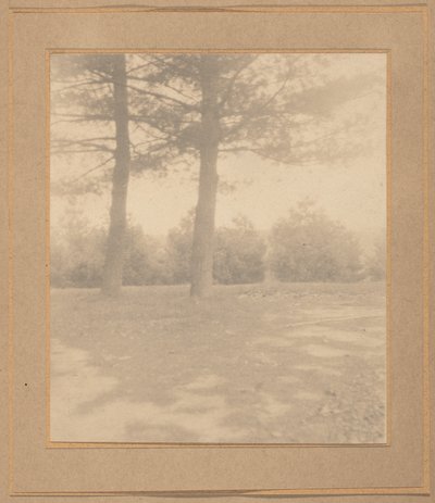 Krajina se stromy,c. 1900 (foto) od Joseph T. Keiley