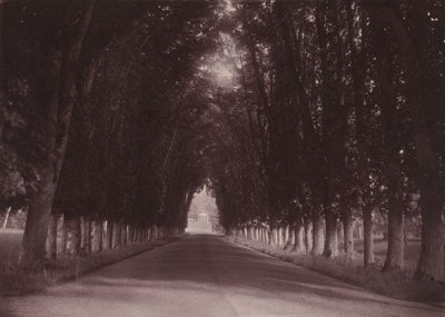 Příjezdová cesta, Château de Grand-Vaux, Savigny-sur-Orge, rodinné sídlo Vigierů, asi 1855 (foto) od Joseph Vigier