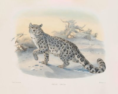  od Joseph Wolf