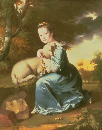 Slečna Frances Warren, počátek 60. let 18. století (olej na plátně) od Joseph Wright of Derby