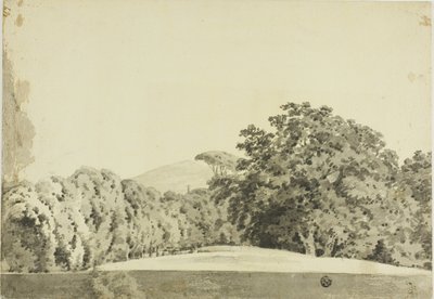 Zalesněná krajina od Joseph Wright of Derby
