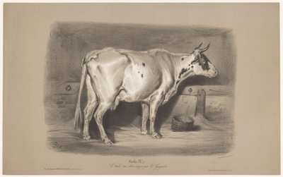 Kráva ve stáji Vache (název na objektu) Studie na zvířatech ve dvou typech křídy (název série) Etude aux deux pastelky par Z. Gengembre (název série na předmětu) od Joseph Zephyris Gengembre