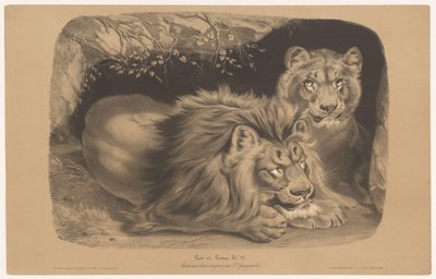 lev a lvice Lion et Lionne (název na objektu) Studie na zvířatech ve dvou typech křídy (název série) Etude aux deux pastelky par Z. Gengembre (název série na předmětu) od Joseph Zephyris Gengembre