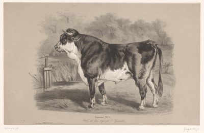 Býk na louce Taureau (titul na objektu) Studie na zvířatech ve dvou typech křídy (název série) Etude aux deux pastelky par Z. Gengembre (název série na předmětu) od Joseph Zephyris Gengembre