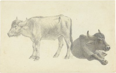 Ležící a stojící kráva od Josephus Augustus Knip