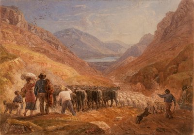Pastevci ženoucí skot a ovce průsmykem Tal-y-Llyn ve Walesu od Joshua Cristall