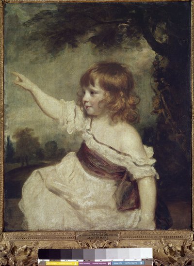 Mistr zajíc (Francis George Hare (olej na plátně od Joshua Reynolds