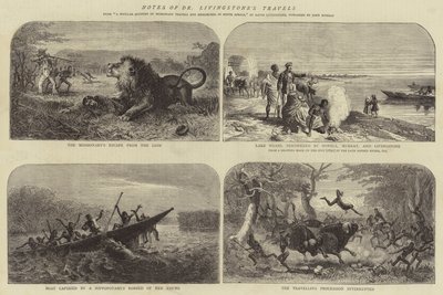 Zápisky z cest Dr. Livingstonea od Josiah Wood Whymper
