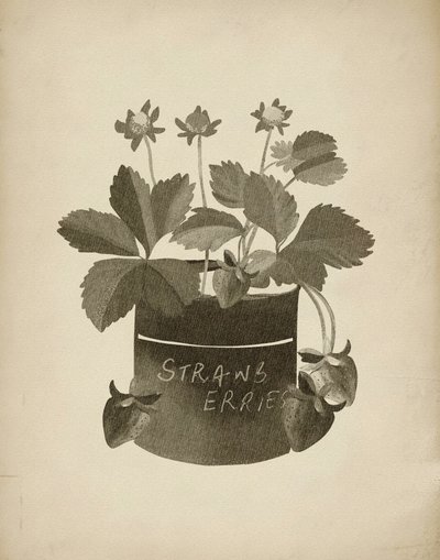 Retro ilustrace jahody od Josie George