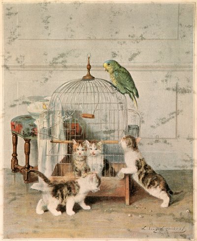 Chatons od Josse Photo