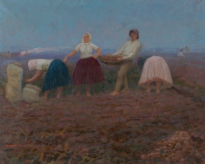 Sbírání brambor od Jozef Teodor Mousson