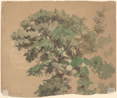 strom [verso] od Jr. Enoch Wood Perry