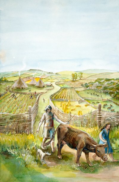 Venkovská krajina, 2000 před naším letopočtem, c1990-2010 od Judith Dobie