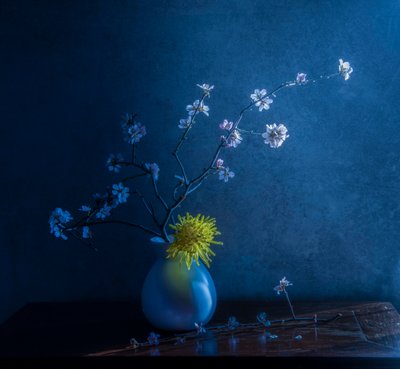  od Judy Tseng