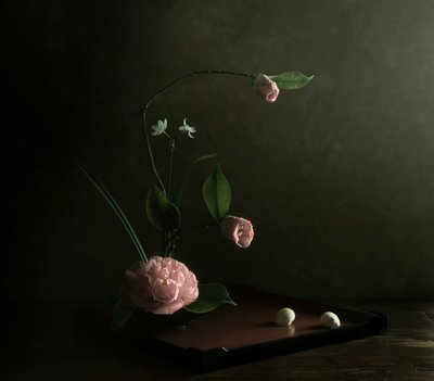  od Judy Tseng