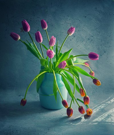 Zářivé převislé tulipány od Judy Tseng