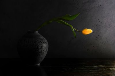  od Judy Tseng