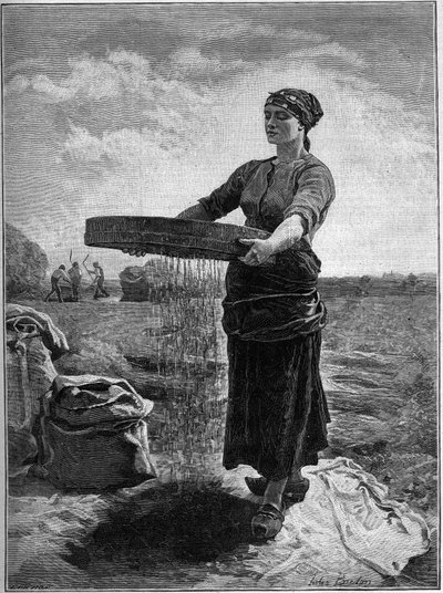 Třídič řepkového semene: z obrazu Julese Bretona. V „Rodina“ z roku 1888. od Jules Breton